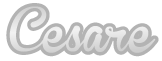 CESARE WORDPRESS THEME BY THEMEDUTCH