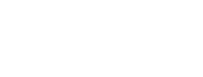 Venducci wordpress Theme I Theme Dutch development